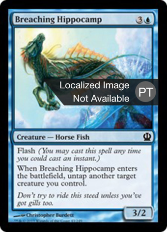 Breaching Hippocamp Full hd image