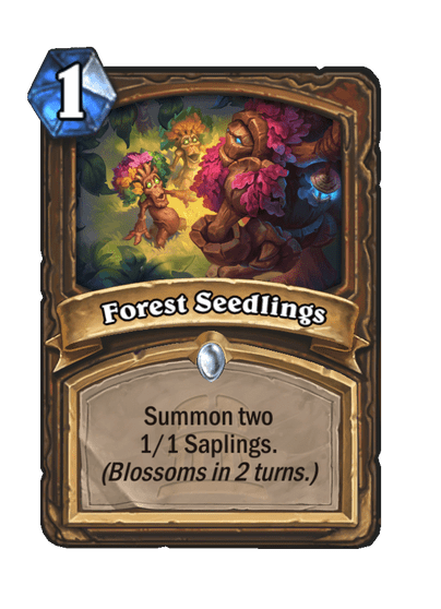 Forest Seedlings Full hd image