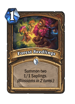 Forest Seedlings