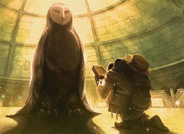 Accumulate Wisdom Crop image Wallpaper