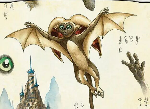 Momo, Friendly Flier Crop image Wallpaper
