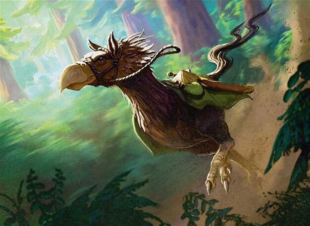 Ostrich-Horse Crop image Wallpaper