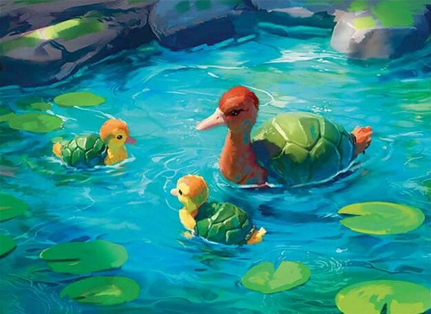 Turtle-Duck Crop image Wallpaper