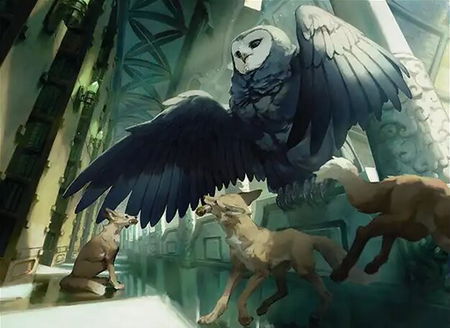 Compra gasta deck image