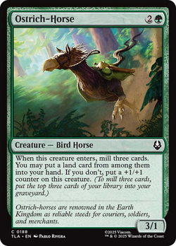 Ostrich-Horse image