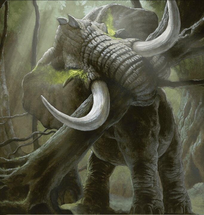 Elephant Token Crop image Wallpaper