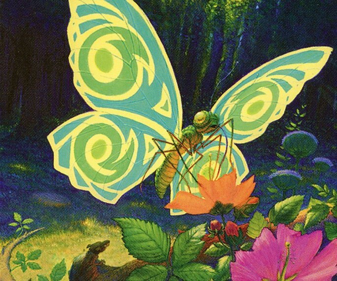 Butterfly Token Crop image Wallpaper