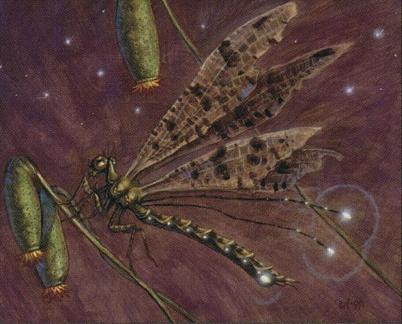 Bayou Dragonfly Crop image Wallpaper