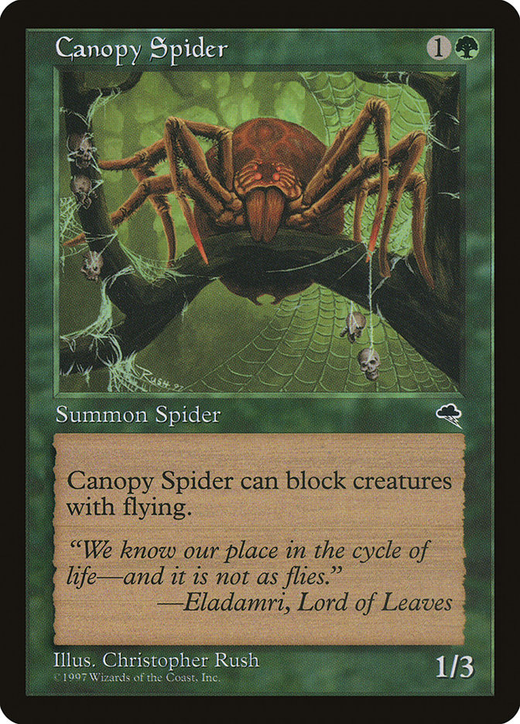 Canopy Spider image