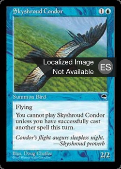 Skyshroud Condor image