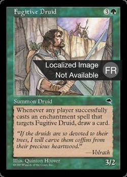 Druide fugitif