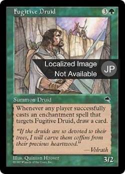 Fugitive Druid image