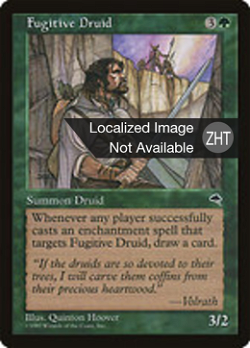 Fugitive Druid image