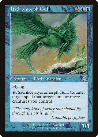 Hydromorph Gull image
