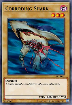 Corroding Shark image