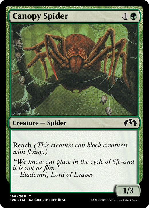 梢の蜘蛛 image