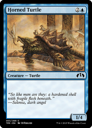 Horned Turtle image