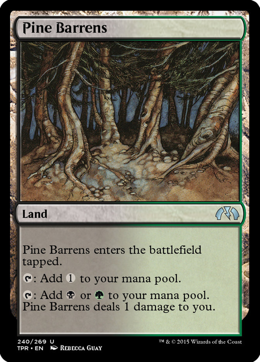 Pine Barrens image