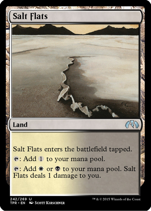塩の干潟 image