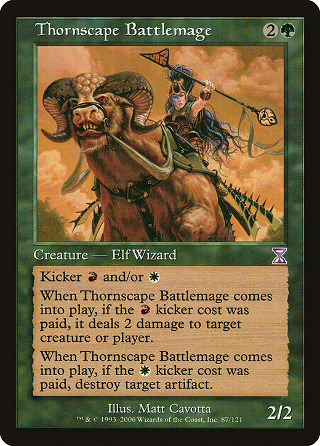 Thornscape Battlemage image