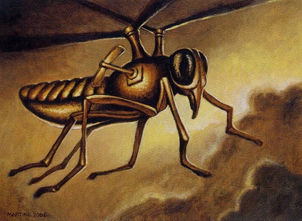 Brass Gnat Crop image Wallpaper