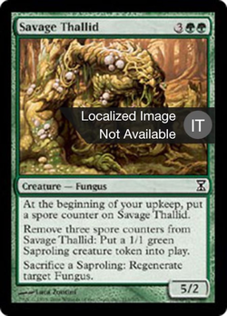 Thallid Selvaggia image