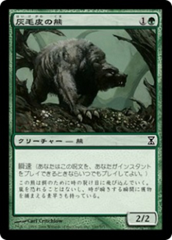 灰毛皮の熊 image