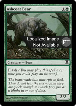 Urso Capa-Cinzenta image