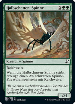 Halbschatten-Spinne