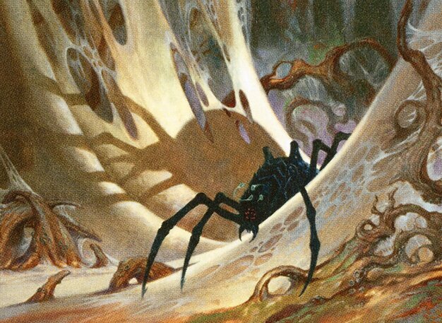 Penumbra Spider Crop image Wallpaper