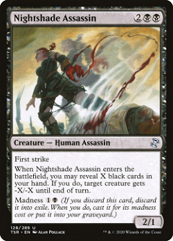 Nightshade Assassin image