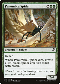 페넘브라 거미 image
