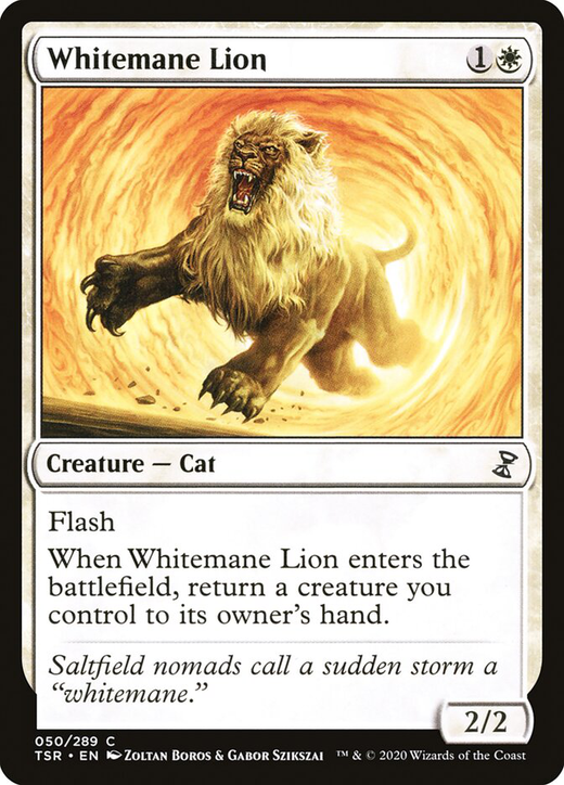 Whitemane Lion Full hd image