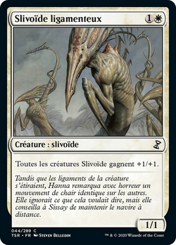 Slivoïde ligamenteux