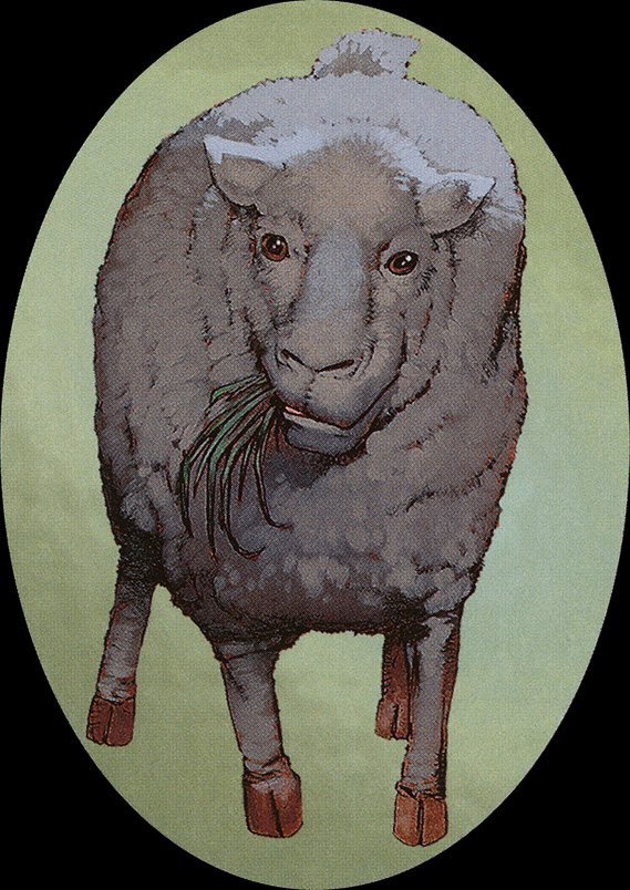 Sheep Token Crop image Wallpaper