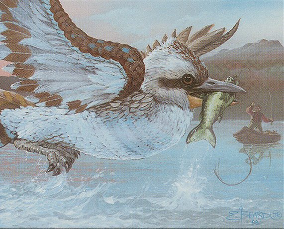 Kingfisher Crop image Wallpaper