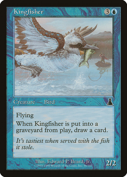 Kingfisher Full hd image