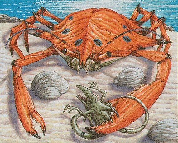 King Crab Crop image Wallpaper
