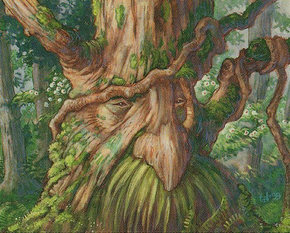 Treefolk Mystic Crop image Wallpaper