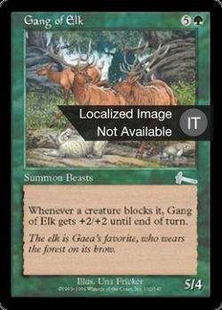 Gang of Elk