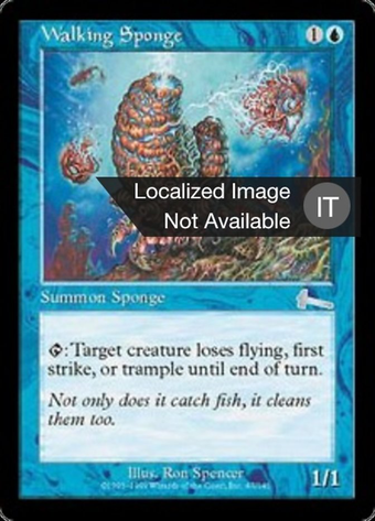 Walking Sponge Full hd image