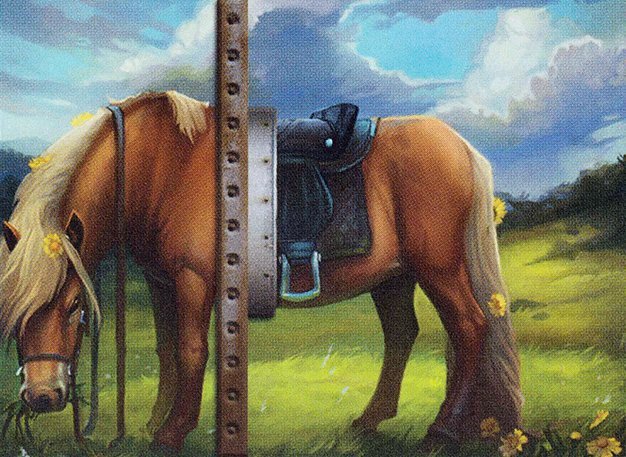 Ordinary Pony Crop image Wallpaper