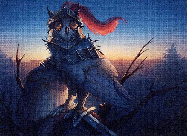 Syr Cadian, Knight Owl Crop image Wallpaper