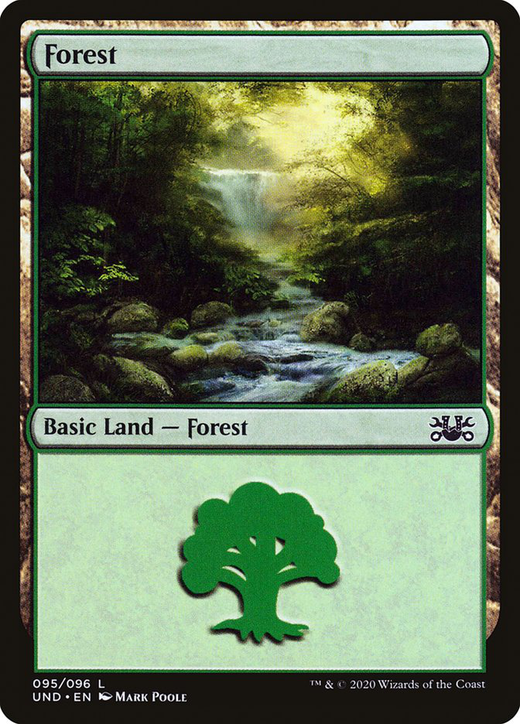 Floresta image