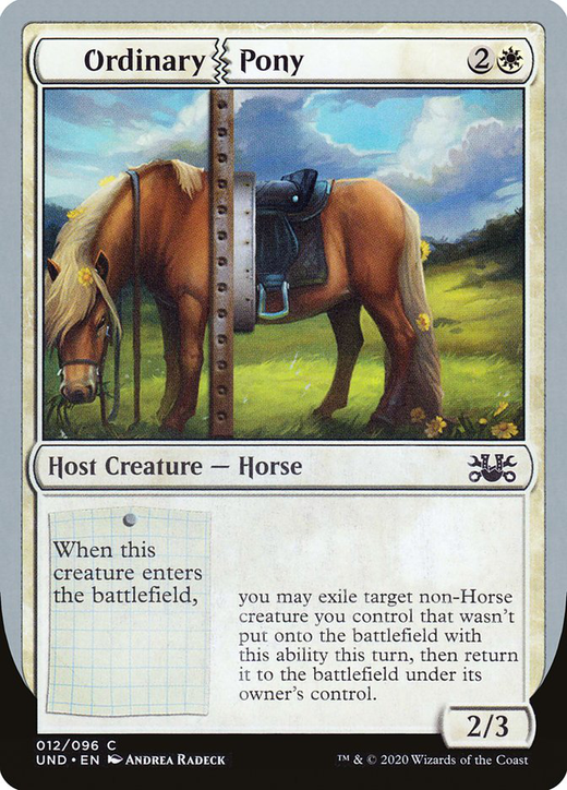 Gewöhnliches Pony image
