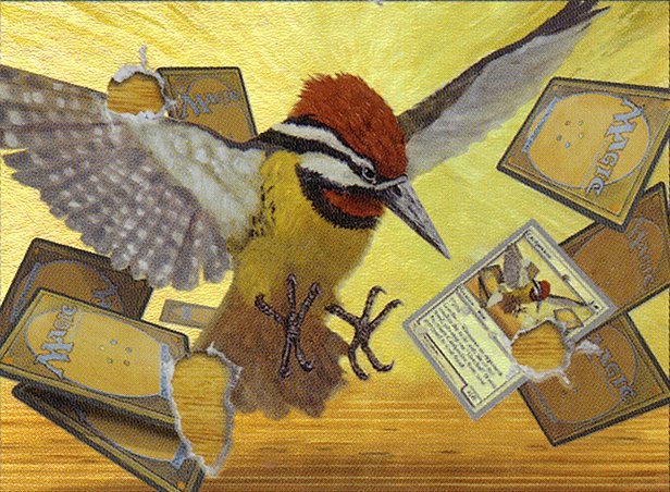 Cardpecker Crop image Wallpaper