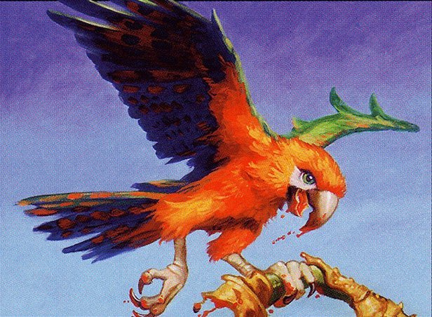 Carnivorous Death-Parrot Crop image Wallpaper
