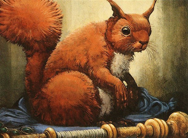 Form of the Squirrel Crop image Wallpaper