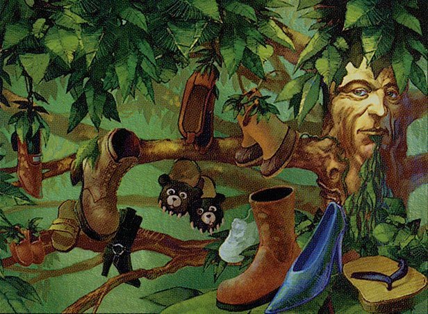 Shoe Tree Crop image Wallpaper