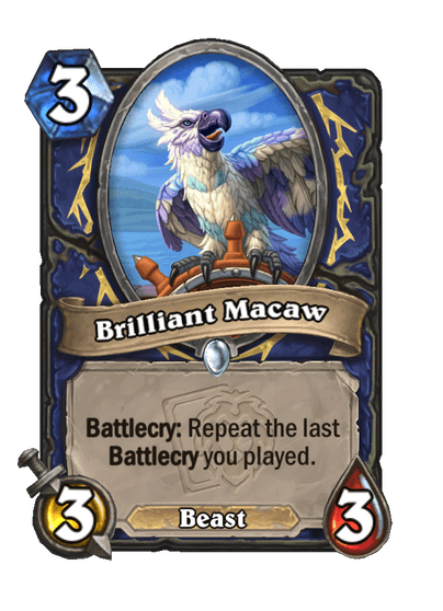 Brilliant Macaw Full hd image